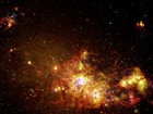 Picture for song 'Timeless Void' by artist 'Live Dinosaur'