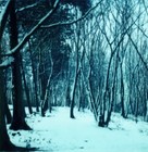 Picture for song 'Alaska In Miami' by artist 'LIVE FROM THE FUTURE'