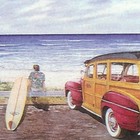 Picture for song '16 Rincon Revel' by artist 'Longboard Ranch'