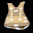 Picture for song 'Bullet Proof' by artist 'Loonie Bones'