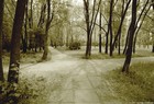 Picture for song 'Map Of The World (Demo)' by artist 'Loonie Bones'