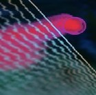 Picture for song 'Doggus' by artist 'Loren'