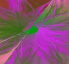 Picture for song 'Whats It All About' by artist 'Loren'