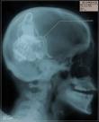 Picture for song 'In My Head' by artist 'Lounge Inc'