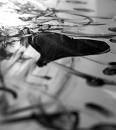 Picture for song 'Magari' by artist 'Luca Calcaterra'