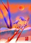 Picture for song 'Quackin' with Lori in 7' by artist 'lucidology'