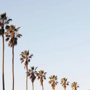 Picture for song 'Epitaph (Mac Miller x Lofi Guitar Type Beat)' by artist 'Luke White On The Beat'