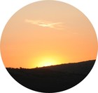 Picture for song 'Dawn Light' by artist 'Lyle Music'