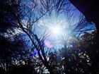 Picture for song 'passive -amber mix 2' by artist 'manic dream'