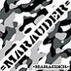 Picture for song 'Dragon's Breath' by artist 'MARAUDER'