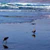 Picture for song 'Ocean Bliss' by artist 'Marc RsingStar'