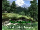 Picture for song 'Mexican forests vol.1 (M. Lochtenknapper)' by artist 'Mario Lochtenknapper'