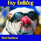 Picture for song 'Hey Bulldog' by artist 'Mark Kaufman'