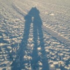 Picture for song 'orgy strings' by artist 'Marss MB'