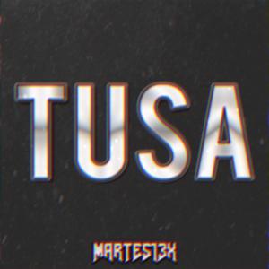 Picture for song 'Tusa 84 Bpm' by artist 'Martes13x'