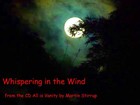 Picture for song 'AIV-04 Whispering in the Wind' by artist 'martin stirrup'