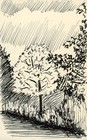 Picture for song 'The Rain Song' by artist 'Matt Bradford'
