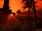Picture for song '1st nest' by artist 'mellosonic'