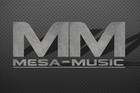 Picture for song 'Dj Melodizze Beat 27 Reggaeton (Lease 30,00$)' by artist 'Mesa-Music.com Beatproduction'
