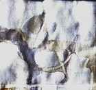 Picture for song 'Truffles In Psycumference' by artist 'Michael Thomas Jackson'