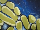 Picture for song 'Don't you know' by artist 'Mick Burrows'
