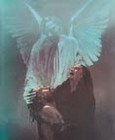Picture for song 'Behold' by artist 'Mike Angel and the Realm'