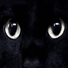 Picture for song 'Organisation FREE-DOWNLOAD' by artist 'mjk92prod'