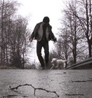 Picture for song 'awn' by artist 'MOOSPFAHL'