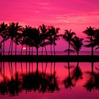 Picture for song 'Mellow Cali Vibe - Free D/L' by artist 'Mr.Deshong Beatz'