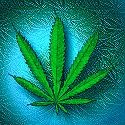 Picture for song 'puff puff pass' by artist 'MR WAGNER'