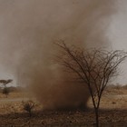 Picture for song 'strange but tasty' by artist 'Ms Malmal'