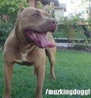 Picture for song 'hablando de escuela' by artist 'muzking187'