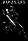 Picture for song 'Ninjutsu (Platinum Stadium Edition)' by artist 'Nandoo Messany'
