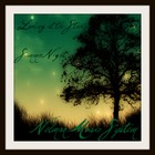Picture for song 'Looking at the Starry Summer Night' by artist 'Nelman Music System'
