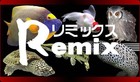 Picture for song 'Parkhaiko Pidaaa Remix' by artist 'NEPZSMILER'