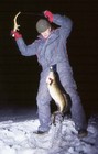 Picture for song 'Nestor - Unken jävel (freestyle)' by artist 'Nestor'