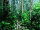 Picture for song 'PICK IT UP ( JUNGLE TYPE BEAT) FREE DL' by artist 'Netti (The Producer)'