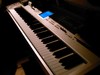 Picture for song 'CLUB HoPPin'' by artist 'New Jazz Movement'