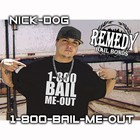 Picture for song '1-800-BAIL-ME-OUT' by artist 'NICK-DOG'