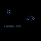 Picture for song 'My Dog' by artist 'Nikolaus von Knorring'