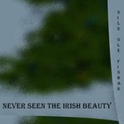 Picture for song 'Never Seen The Irish Beauty' by artist 'Nils-Ole Finbak'
