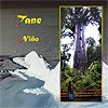 Picture for song 'Tane' by artist 'Nino El'