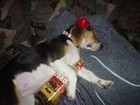 Picture for song 't jeezy' by artist 'No Affiliation Productions'