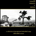 Picture for song 'Track 1: Heart of a Hoya (acoustic)' by artist 'nodak89'