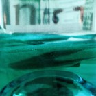 Picture for song 'Rock'n'Roll in der Unterwelt' by artist 'NOSHOW'