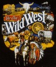 Picture for song 'Wild West' by artist 'NuBeatz Ent'