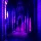 Picture for song 'Orchestral-K- In the Halls of the Kite King' by artist 'Numi Who'