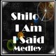Picture for song 'Shilo, I Am I Said Medley (piano/instrumental)' by artist 'Numi Who Creative Covers'