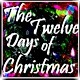 Picture for song 'The Twelve Days of Christmas (inst)' by artist 'Numi Who Creative Covers'