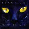 Picture for song 'Black Cat' by artist 'NYMAN AND BLOM'